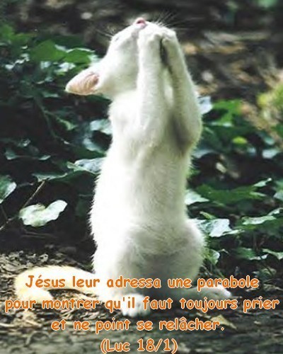 Moïse Puni à cause d’eux ! ! !