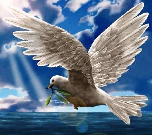 C’est le principe du royaume: Les pleures ne servent à rien.