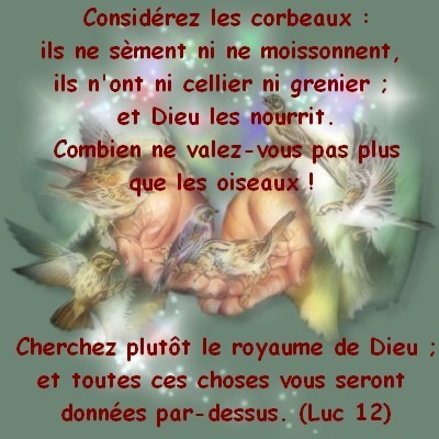 Comme vivre avec le mari par lalcoolique