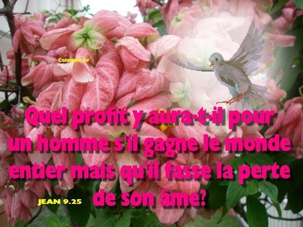 NOTRE DIEU-CRÉATEUR